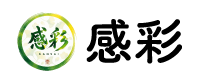北摂（吹田市・豊中市・箕面市）の障子・ふすま・畳・網戸張替え｜格安・即日対応【感彩】
